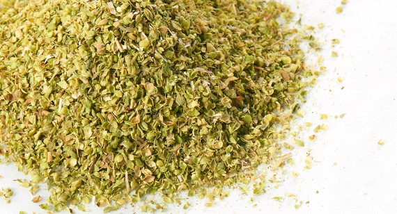 Sollicitudin vitae, sodales in odio